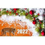 Поздравление с Новым годом 2022
