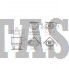 Каминная топка EdilKamin Status Plus N