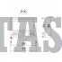 Каминная топка EdilKamin Riga 49 V dx